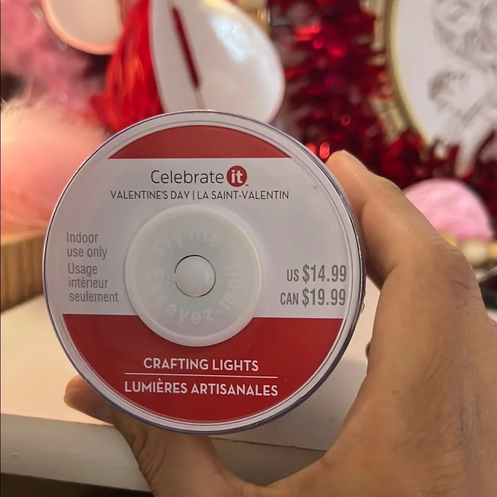 Celebrate It Valentine's Day Crafting Lights